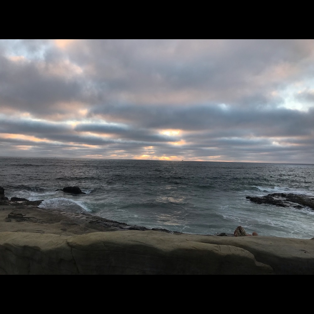 Meet your Posher, Frances